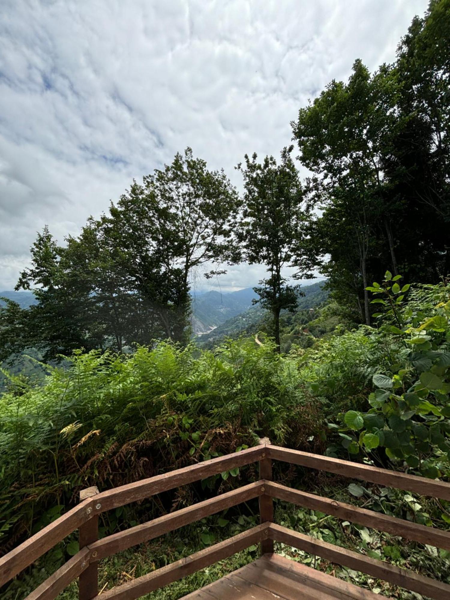 Chalet Elit